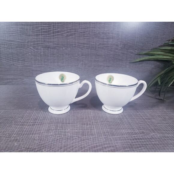 Set Of 2 Waterford China Kilbarry Platinum Tea Cup 3” NWT - Picture 2 of 7